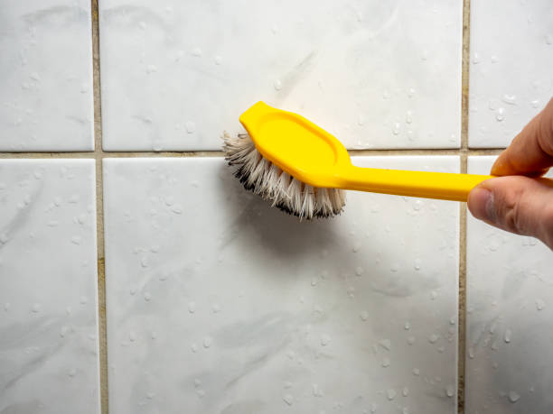 Best Black Mold Removal  in Hacienda Heights, CA