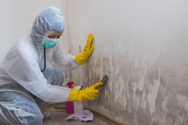 Water Damage Restoration in Hacienda Heights, CA