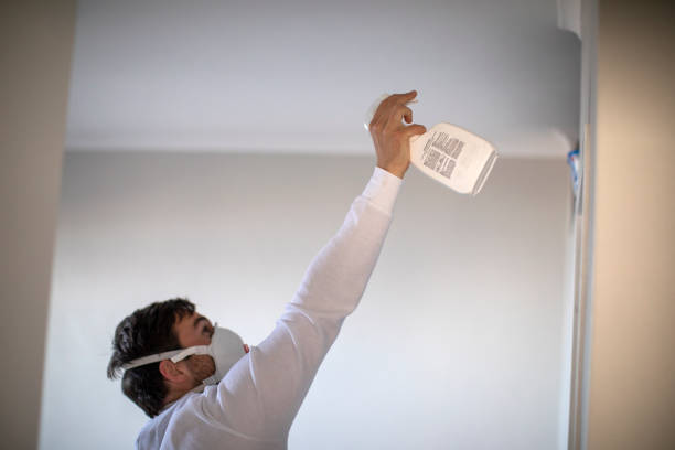 Best Crawl Space Mold Removal  in Hacienda Heights, CA