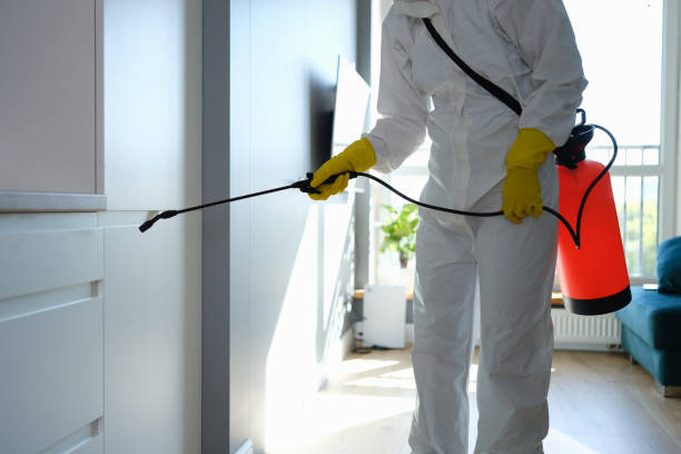Best Crawl Space Mold Removal  in Hacienda Heights, CA